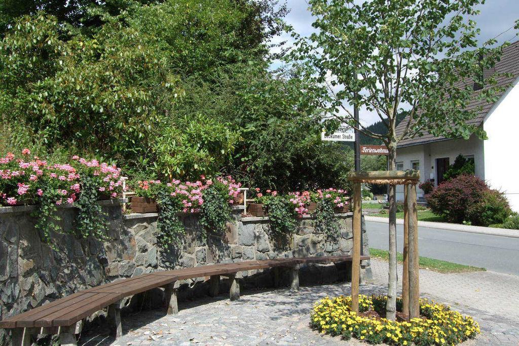 Haus Mittelberg Apartment Olsberg Exterior photo